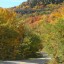 sights-from-the-road-the-lynn-cove-viaduct