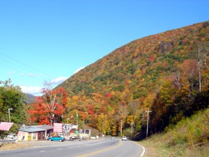 Photo - fall colors at Soco Gap