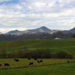 Photo - clouds in the Smokies