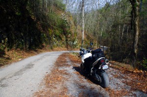 Photo - Cherokee National Forest Road