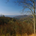 Photo - Soco view