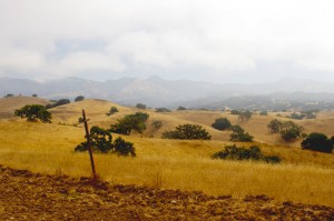 Photo-coastal-fog