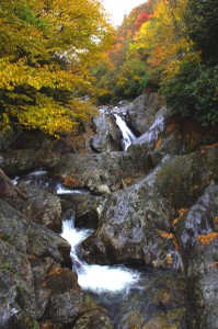 Photo-Bubbling-Springs-Branch-on-NC 215