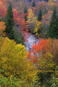 photo-Flat-Laurel-Creek-on-NC 215