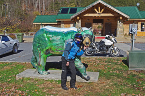 One of the many painted bears in Cherokee