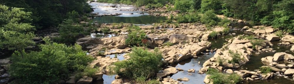 Ocoee River