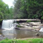 NC-215-birdstand-falls