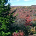 blue-ridge-parkway-color