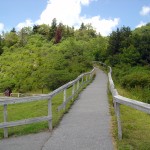 blue-ridge-parkway-waterrock-knob