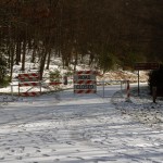 blue-ridge-parkway-winter-