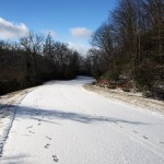 blue-ridge-parkway-winter